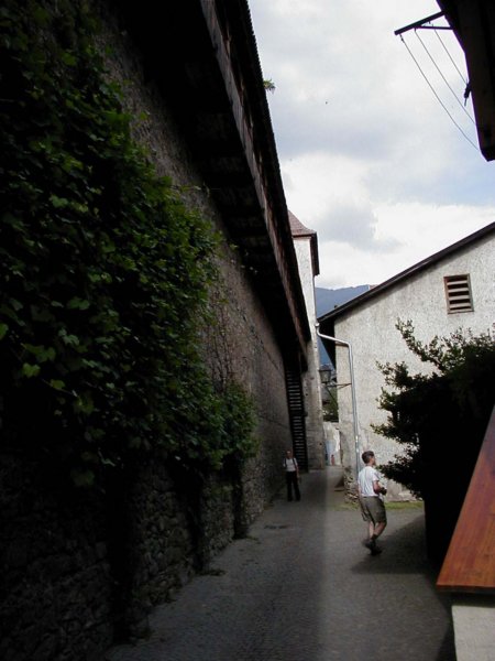 p6140034.jpg