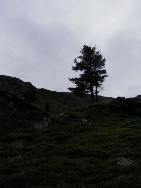 p6150080r.jpg