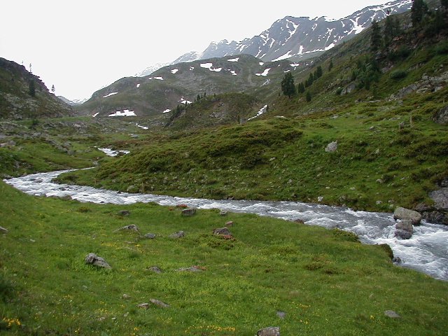 p6150081.jpg