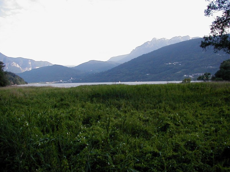 p6180158.jpg